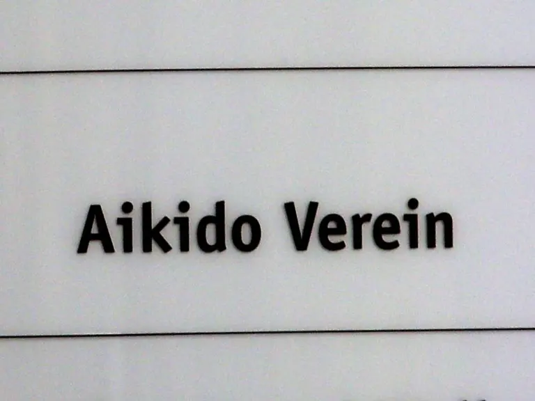 A group of Aikido practitioners training together on dojo mats