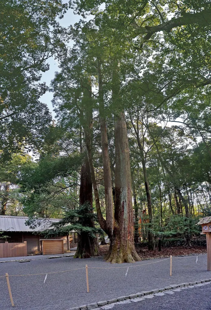 Wooded approach and shrine structures inside the Naikū precinct of Ise Jingū