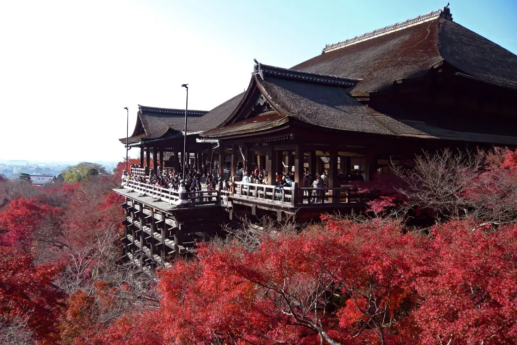 Kiyomizu-dera Main Hall and wooden stage projecting over a forested slope in autumn