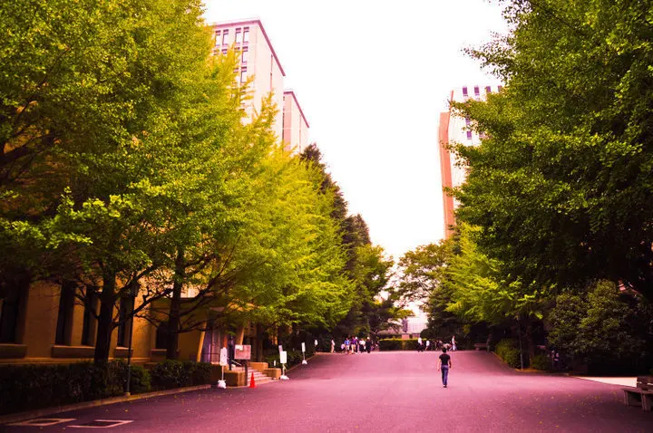 University buildings and a pedestrian path on the Waseda University campus in Tokyo