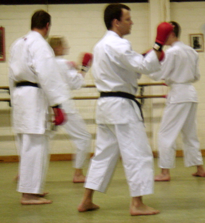 Shotokan karate practitioners training partner techniques in a dojo