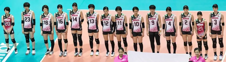 Japan’s women’s volleyball team lined up together in 2017.