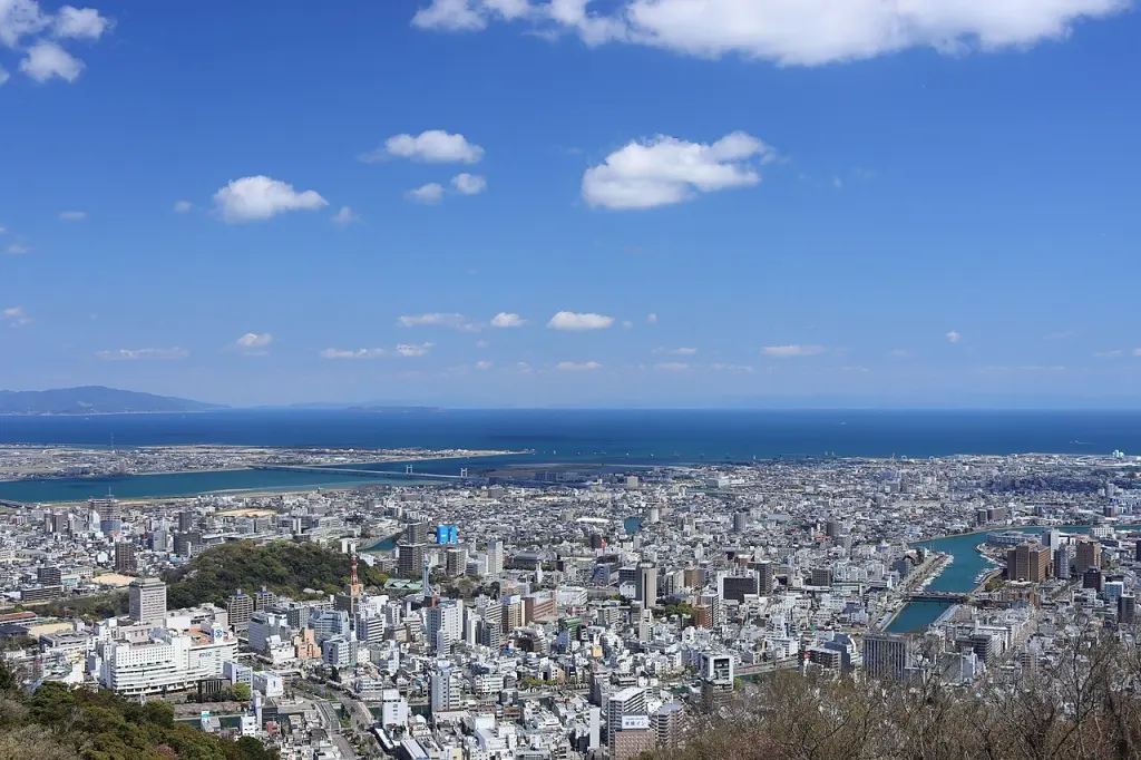 Tokushima’s buildings and waterways viewed from Mount Bizan.