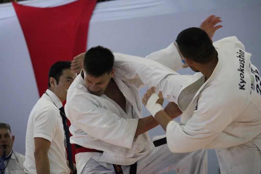 Kyokushin Karate competitor delivering a roundhouse kick to an opponent’s torso