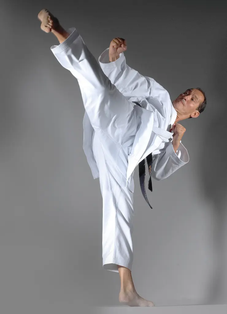 A Karate practitioner demonstrates mawashi-geri
