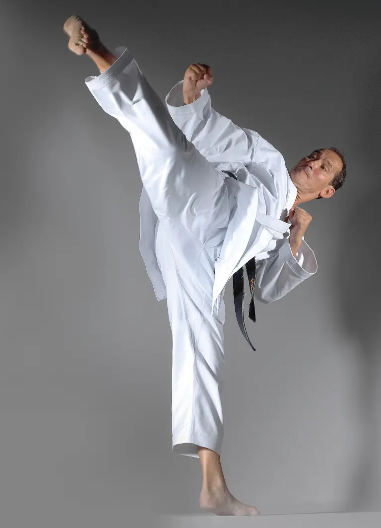 A Karate practitioner demonstrates mawashi-geri