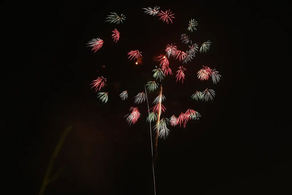 Gold and white starmine fireworks spreading across a dark night sky in Japan