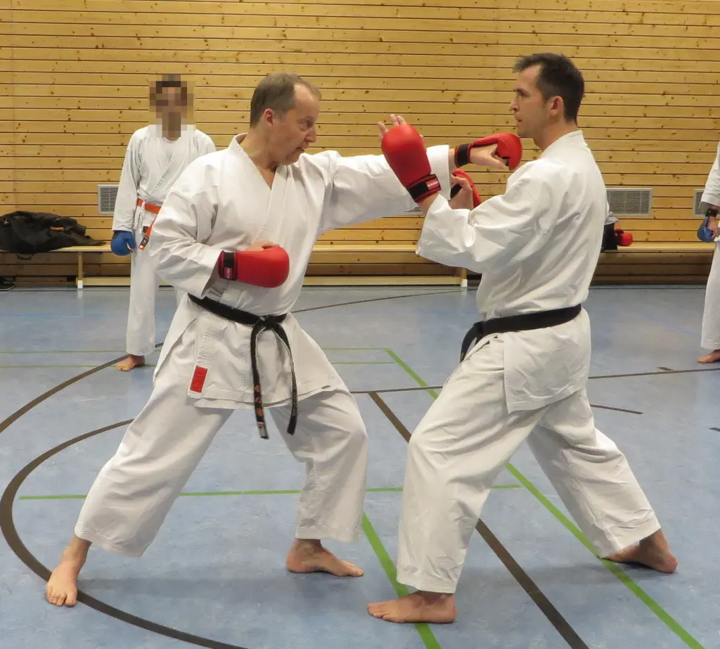 Two Karate practitioners in sparring gear demonstrating a lead-hand punch