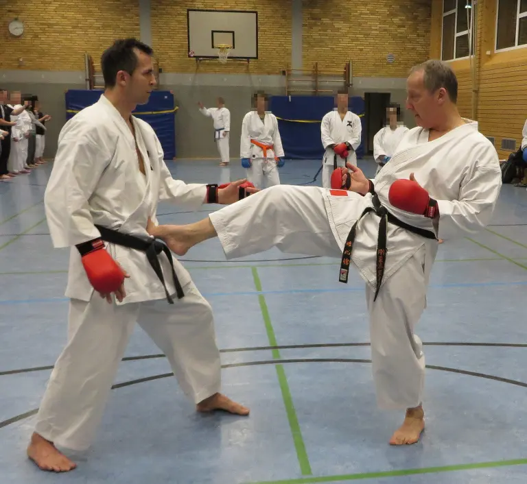 A Karate practitioner demonstrates mae-geri during training