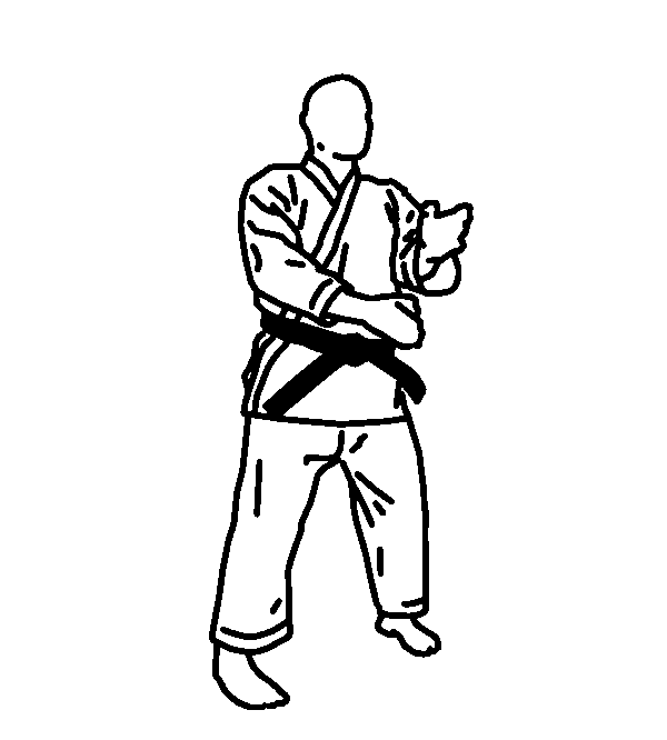 Illustration of a karate practitioner in a wide laterally oriented stance
