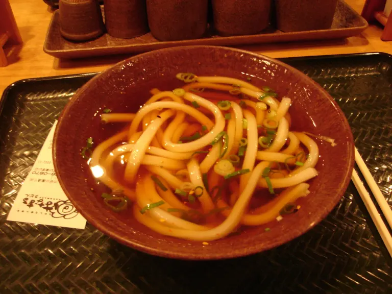 Bowl of kake udon in light broth with sliced green onion