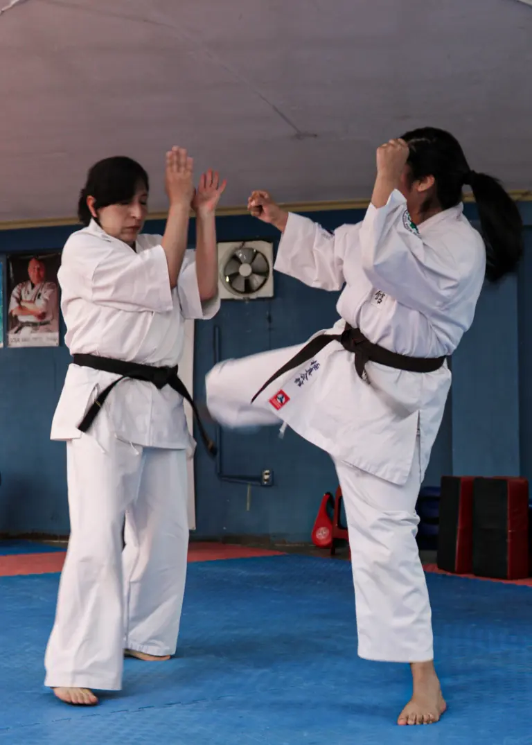 A Karate instructor and student practise bunkai together in a dojo