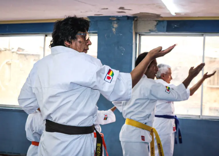 Two Karate practitioners work on an uke technique during kihon