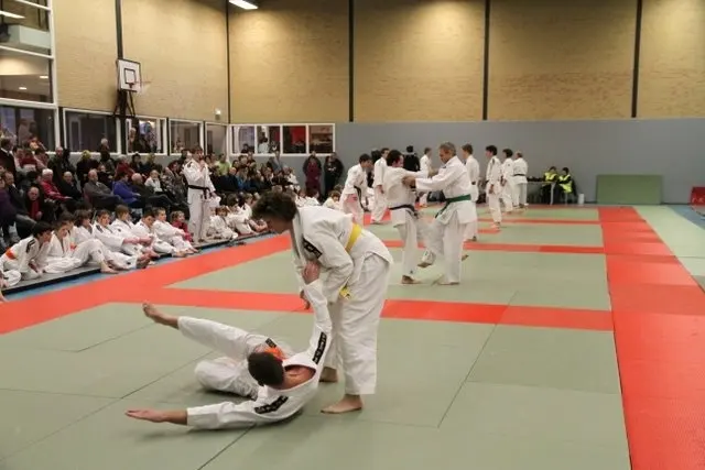 Two judoka perform a technique during a Kodokan demonstration