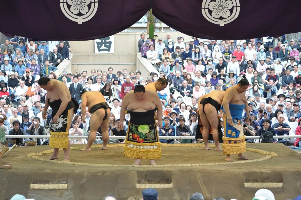 Sumo wrestlers standing together during a sumo jinku performance