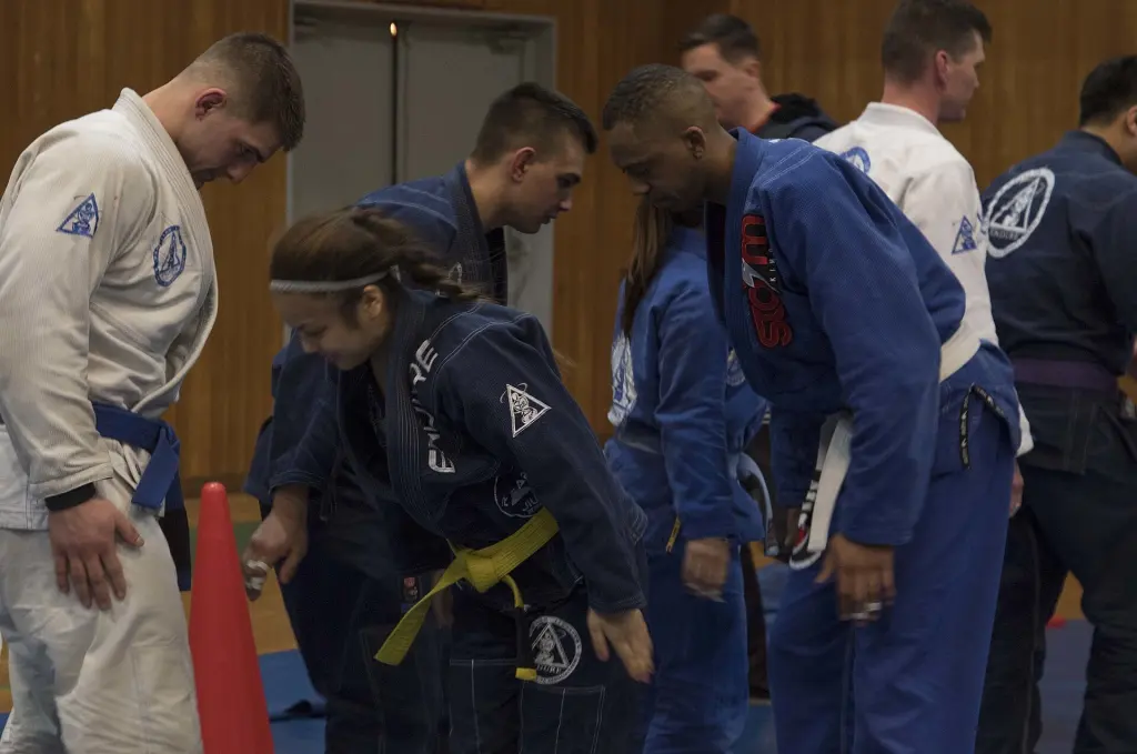 Martial arts practitioners bow together at the end of practice