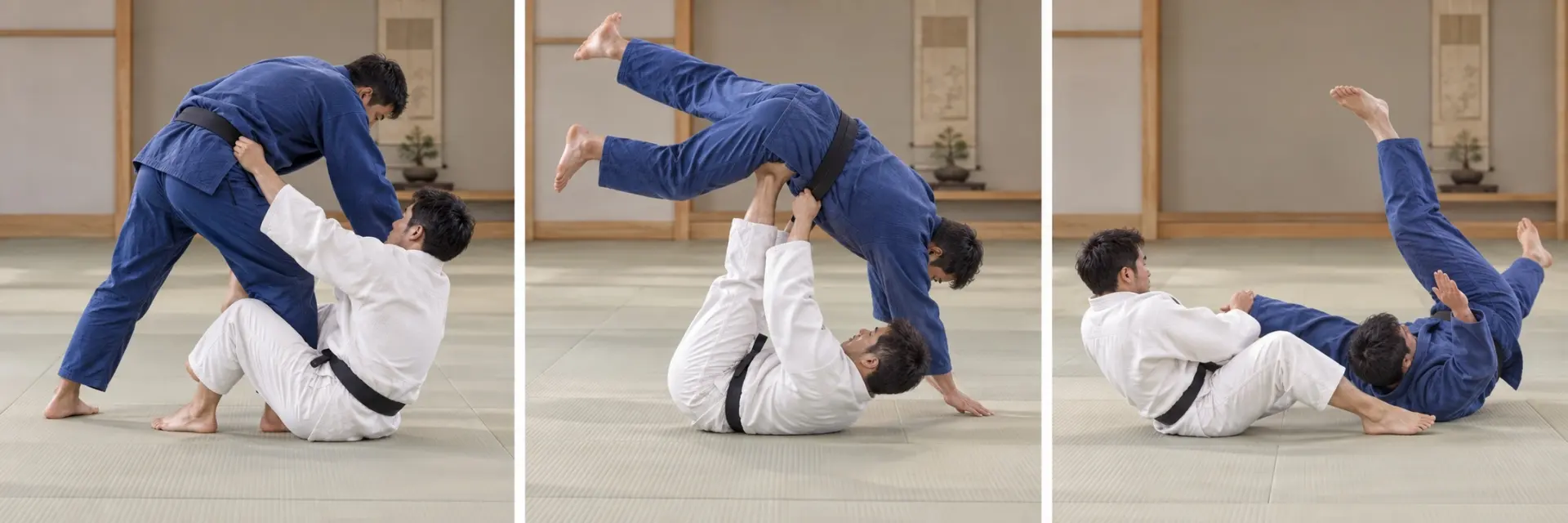 Hikikomi-gaeshi technique shape: Complete the defining action.